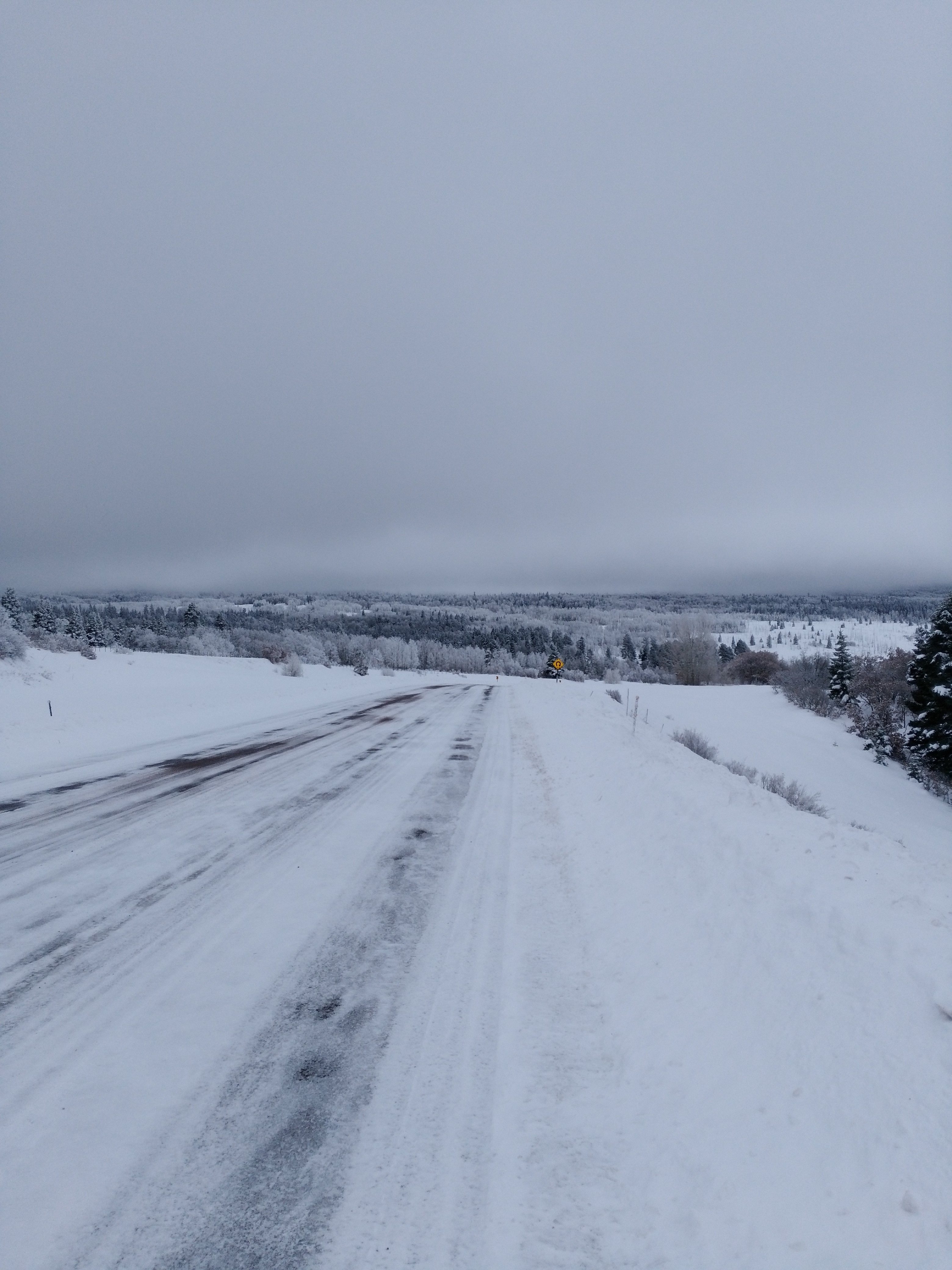 NM mountains - January