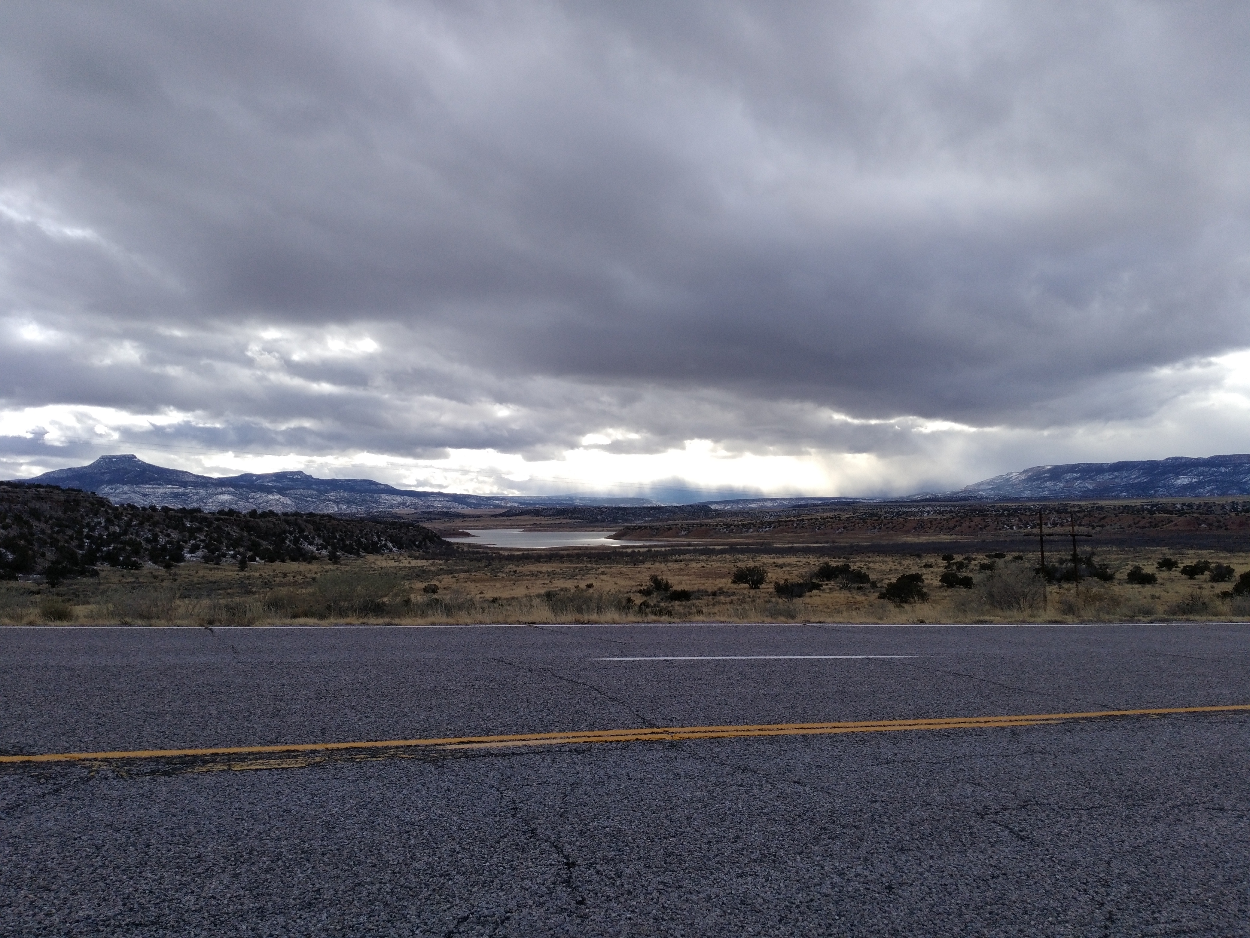 NM lower elevation - January