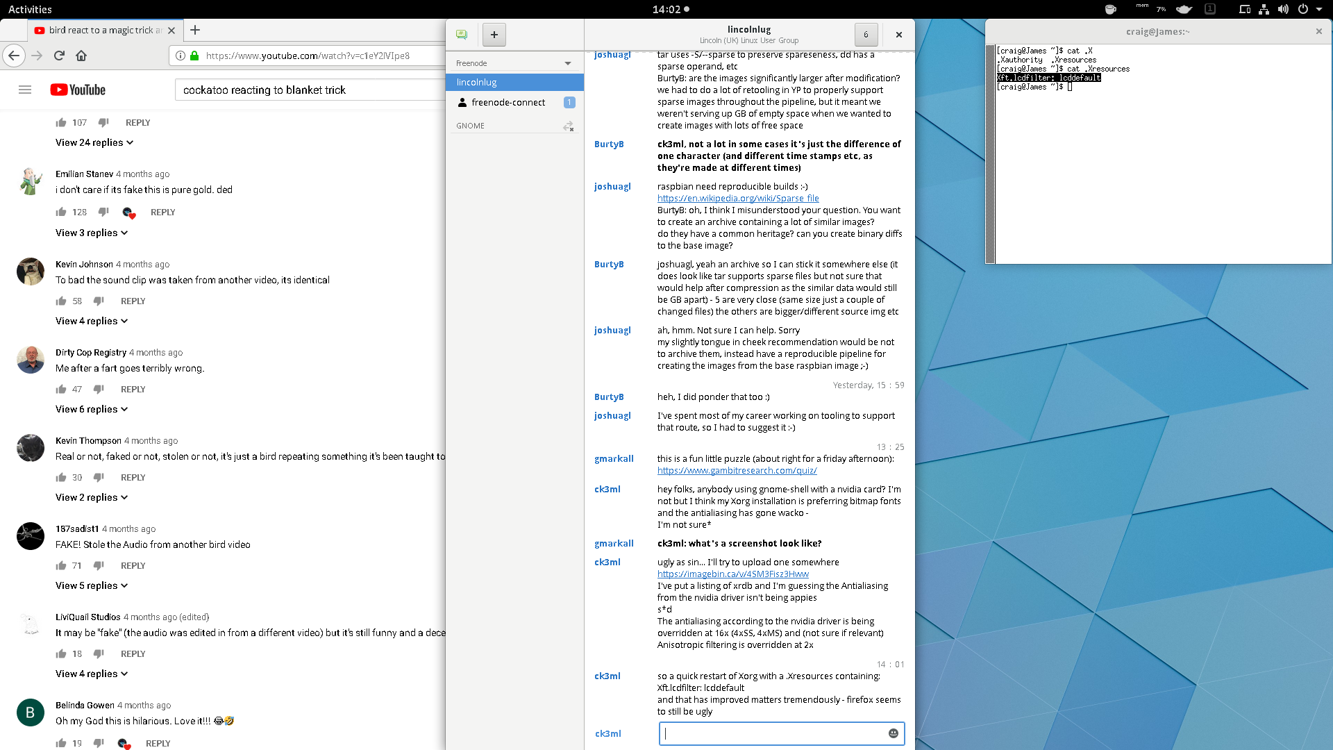 Firefox text rendering issue