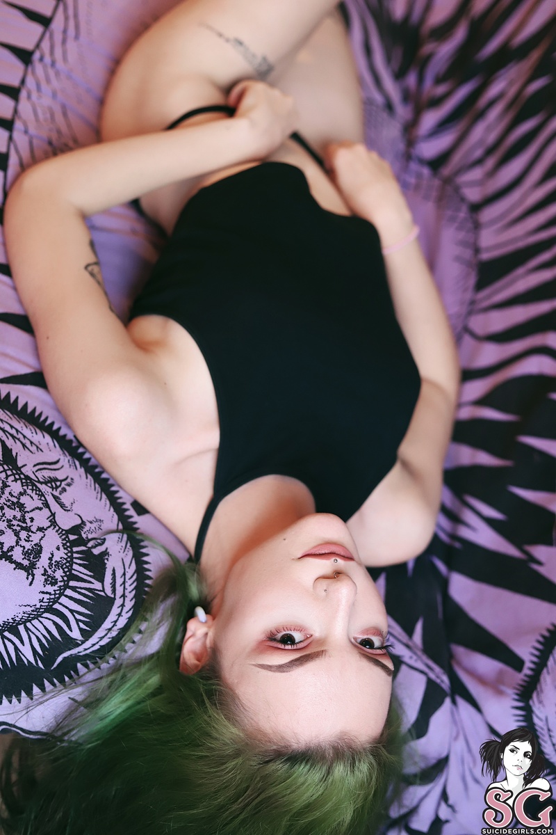 zzef-lief-07.jpg