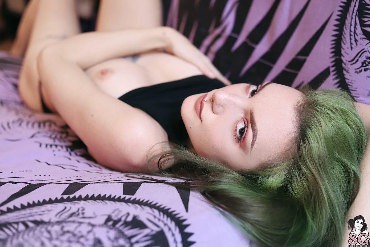 zzef-lief-17.jpg