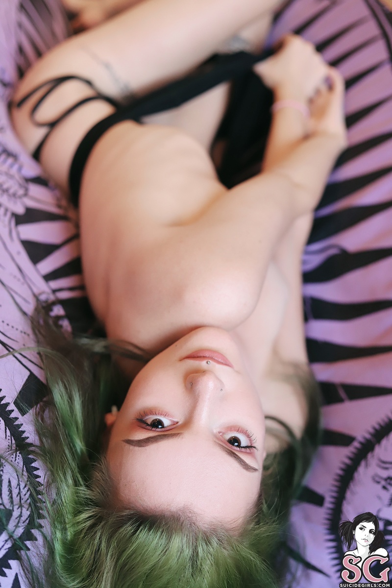 zzef-lief-21.jpg
