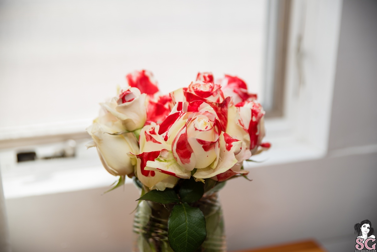 shade26-paintingtherosesred-11.jpg
