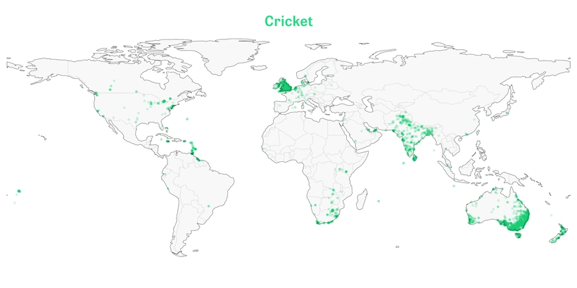 cricket.jpg