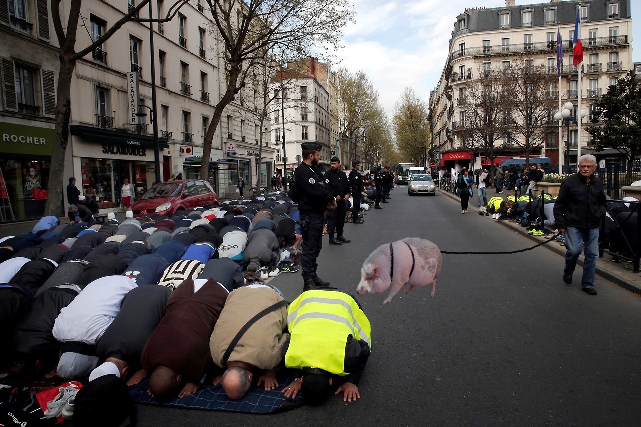 pigwalker.jpg
