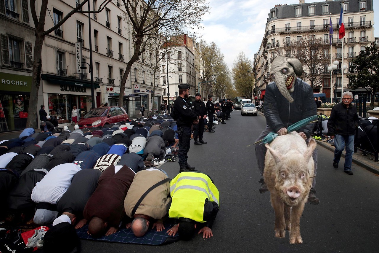 lookdownfromyourpig.jpg