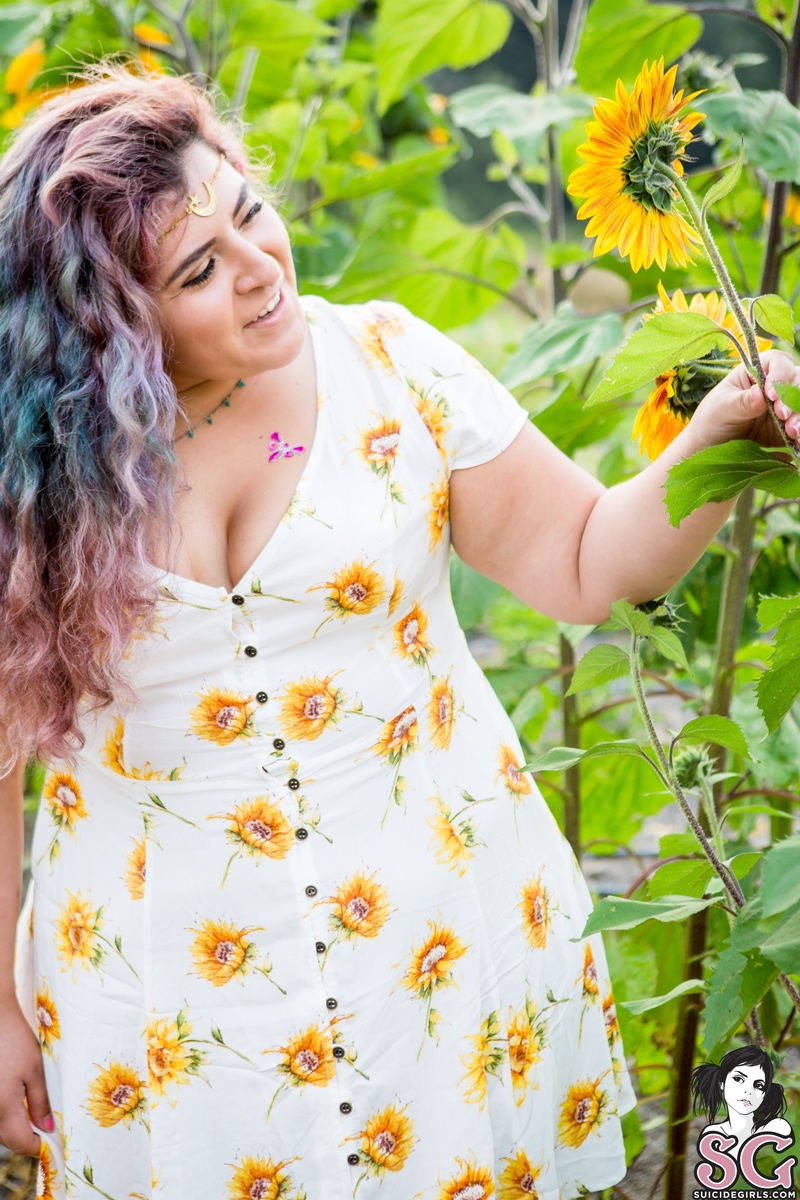 jeweliet-sunflowersunrise-05.jpg