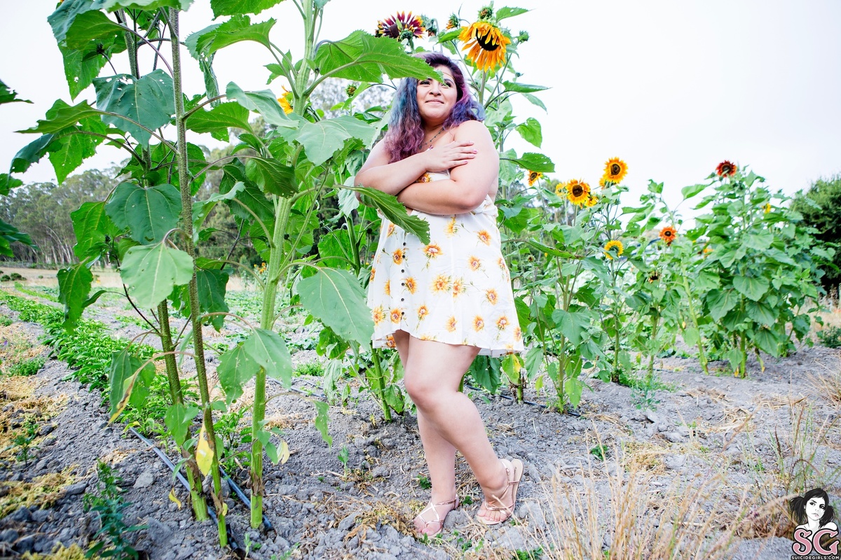 jeweliet-sunflowersunrise-13.jpg