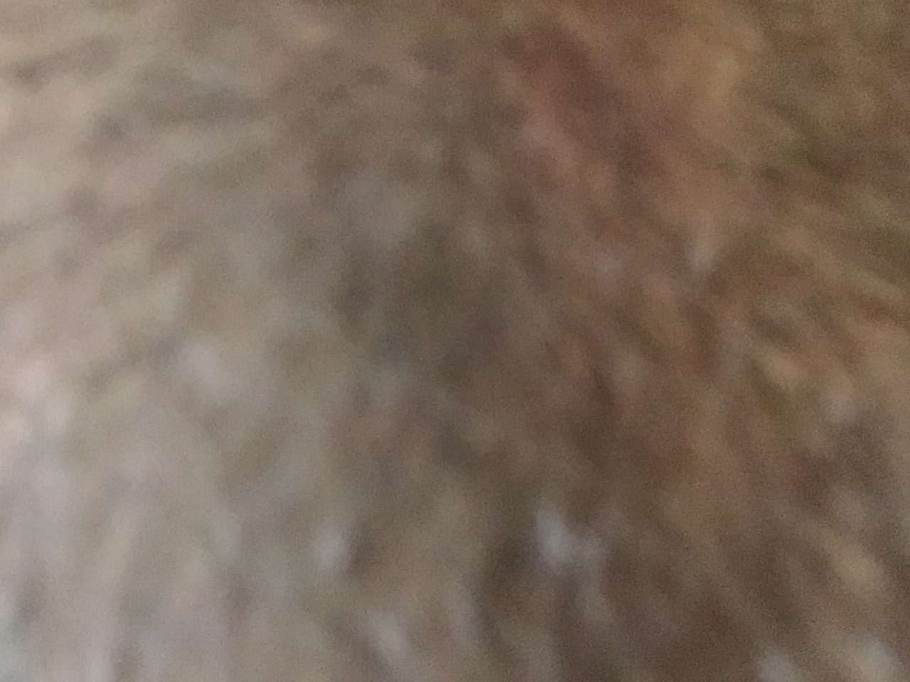 file.jpg