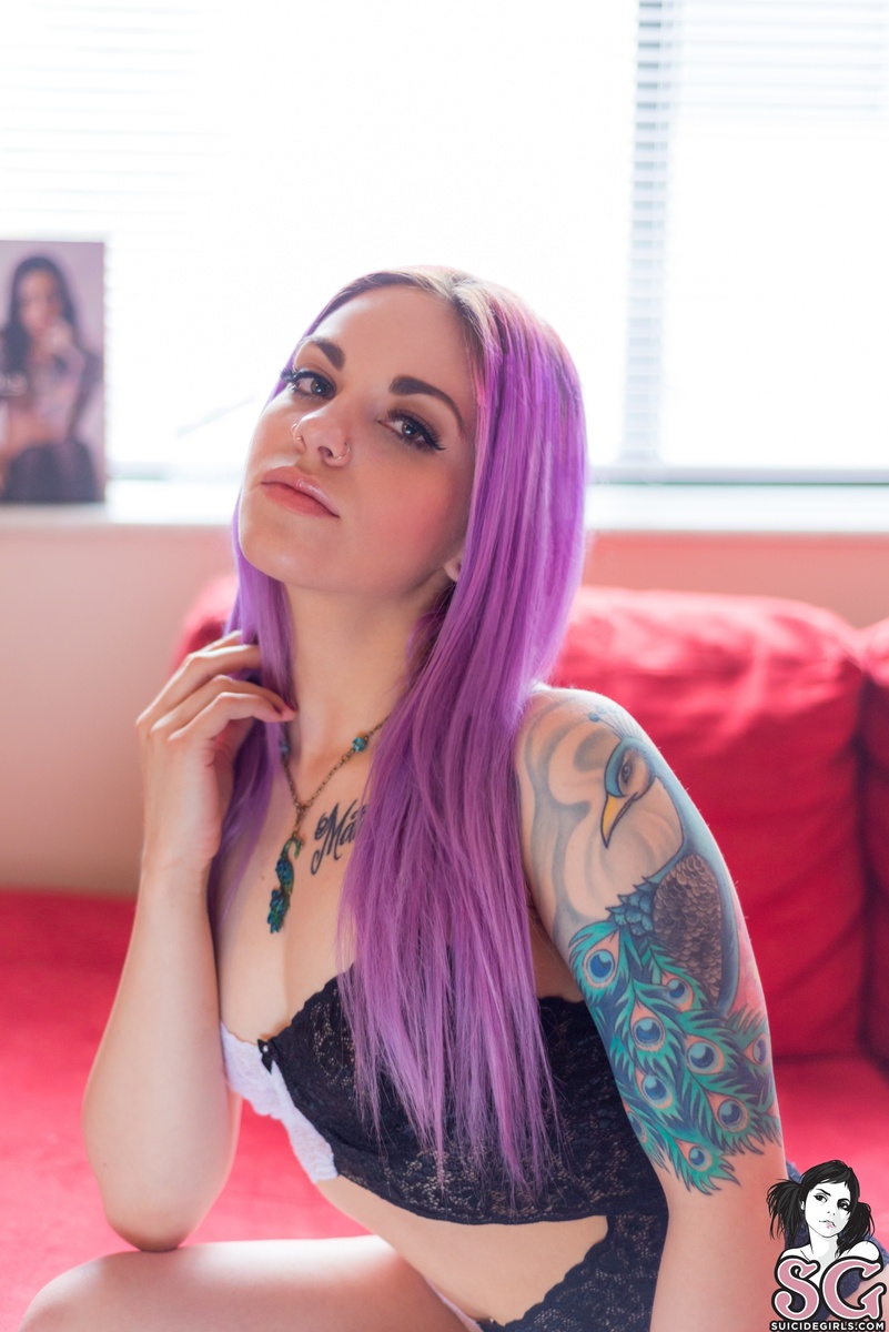 orion-sugarandspice-01.jpg