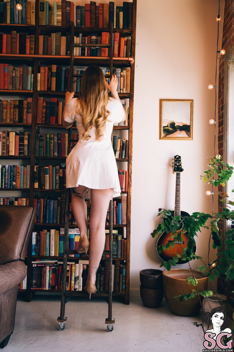 pennyarcher-myprivatelibrary-01.jpg