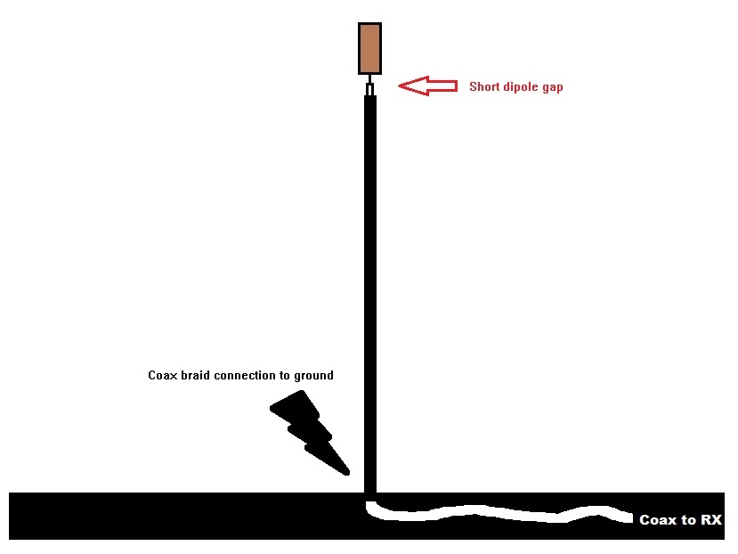 miniwhip.jpg