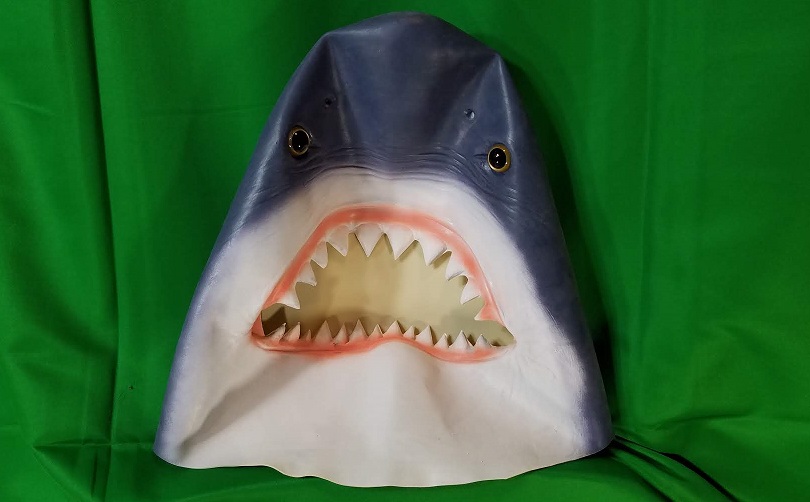 Shark.jpg