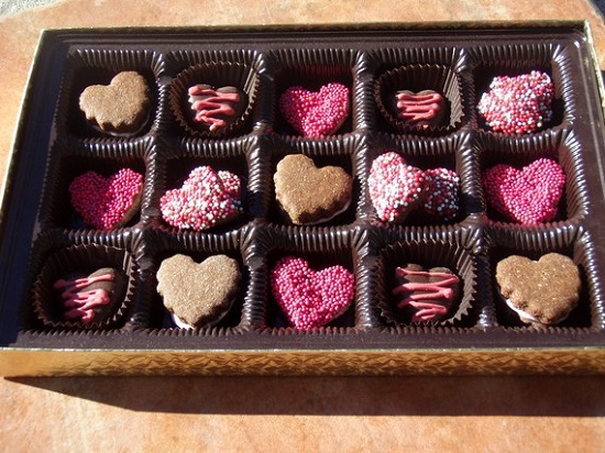 Gourmet Dog Treats at Low Price from Bruce’s Healthy Dog Treats