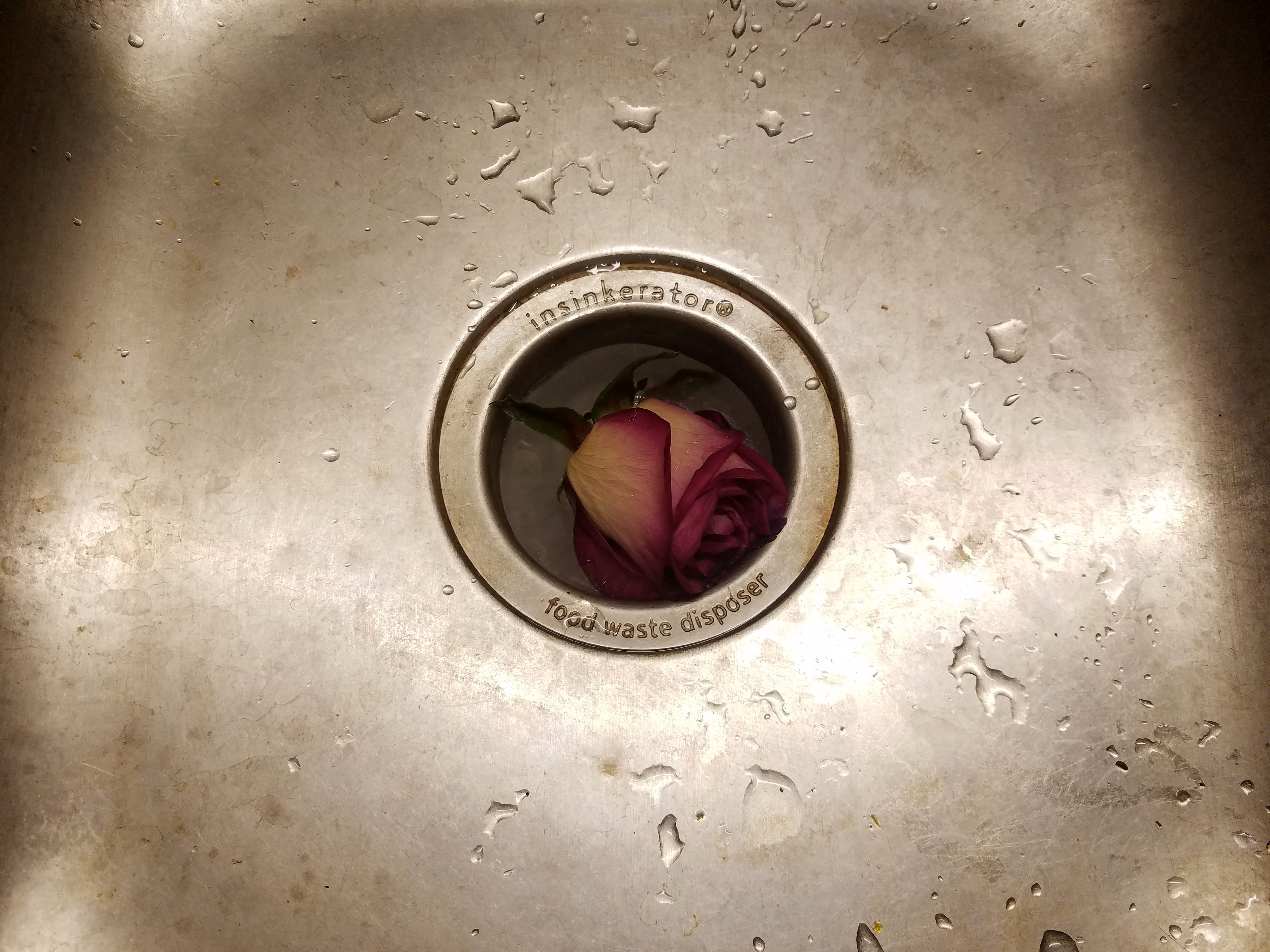 20181226_234150.jpg