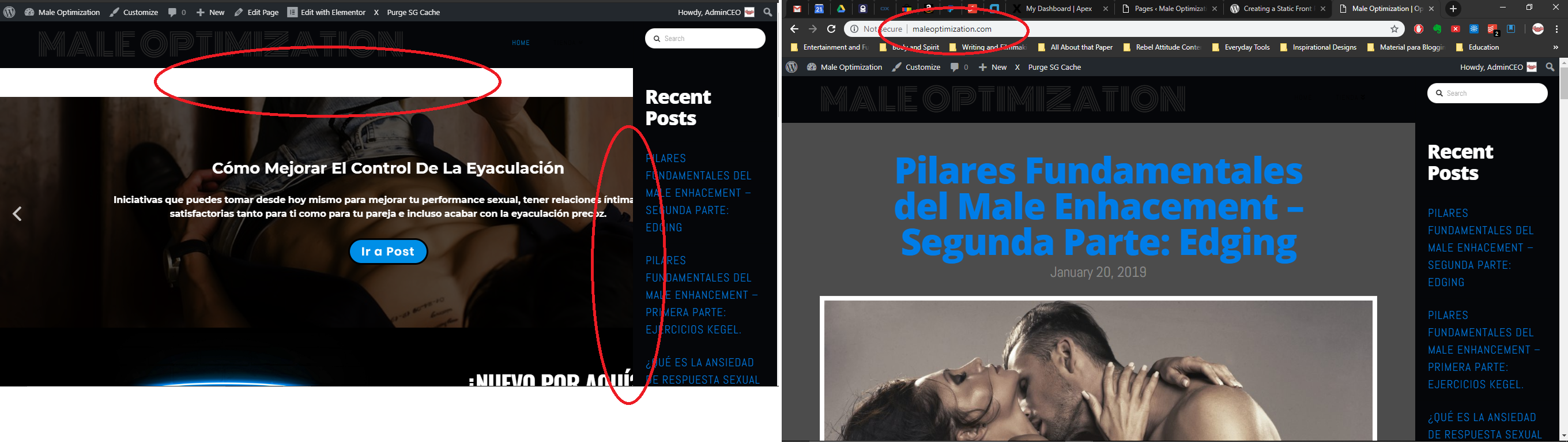 ConflictswhenusingElementorHomepage.png
