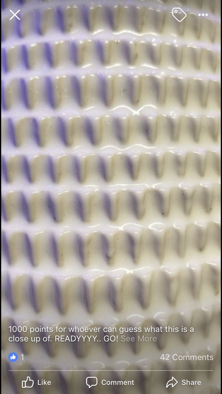 file.jpg