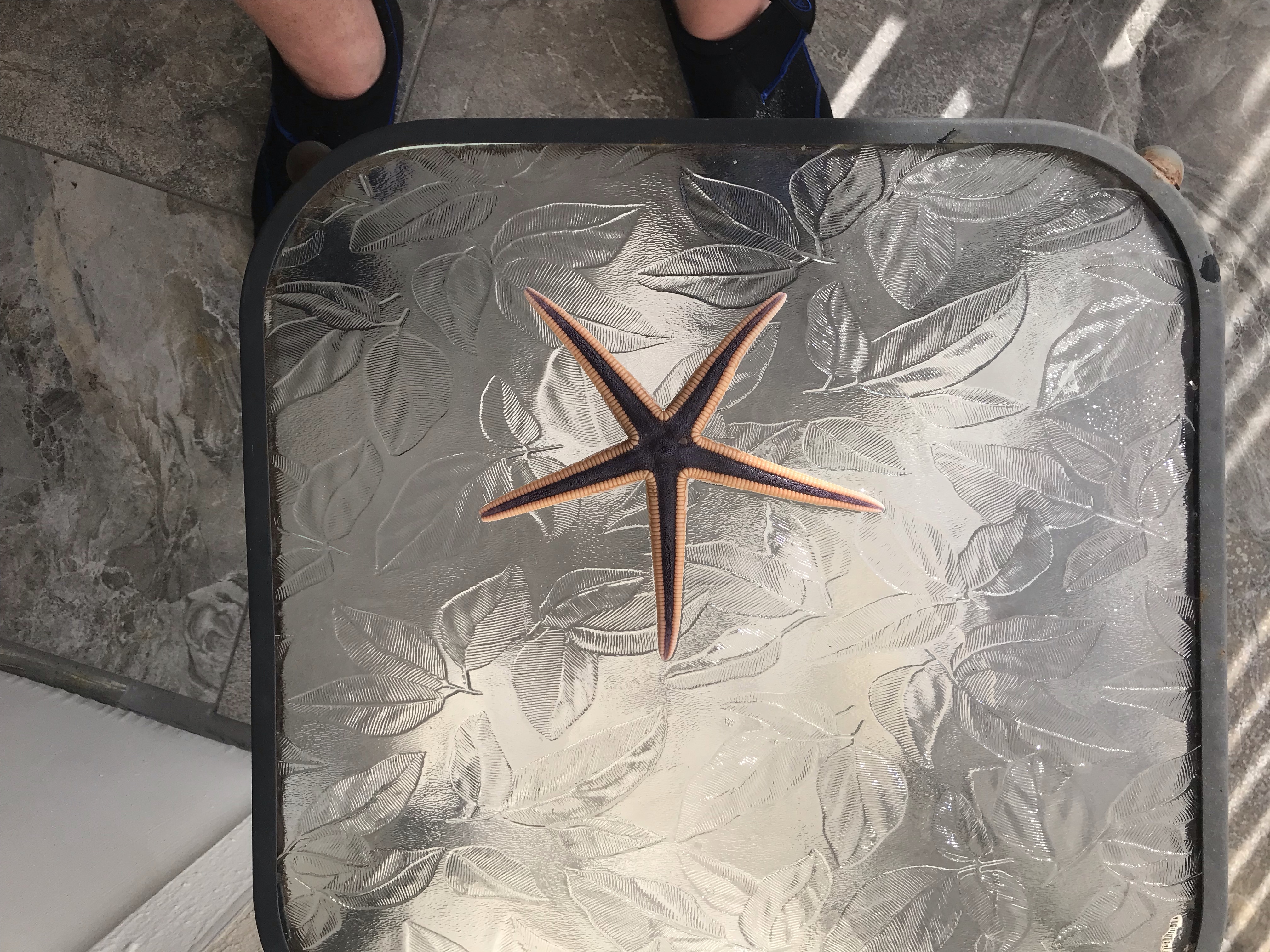 file.jpg