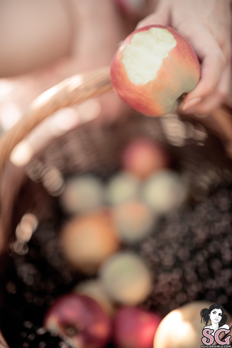 leetattar-appleharvest-05.jpg
