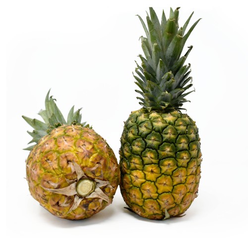 Pineapple Test Image