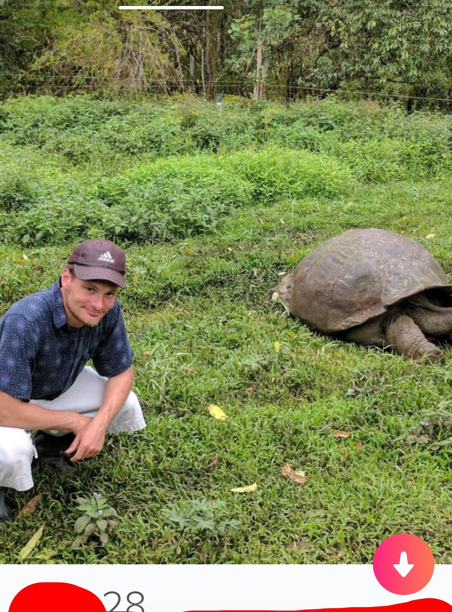 turtle.jpg
