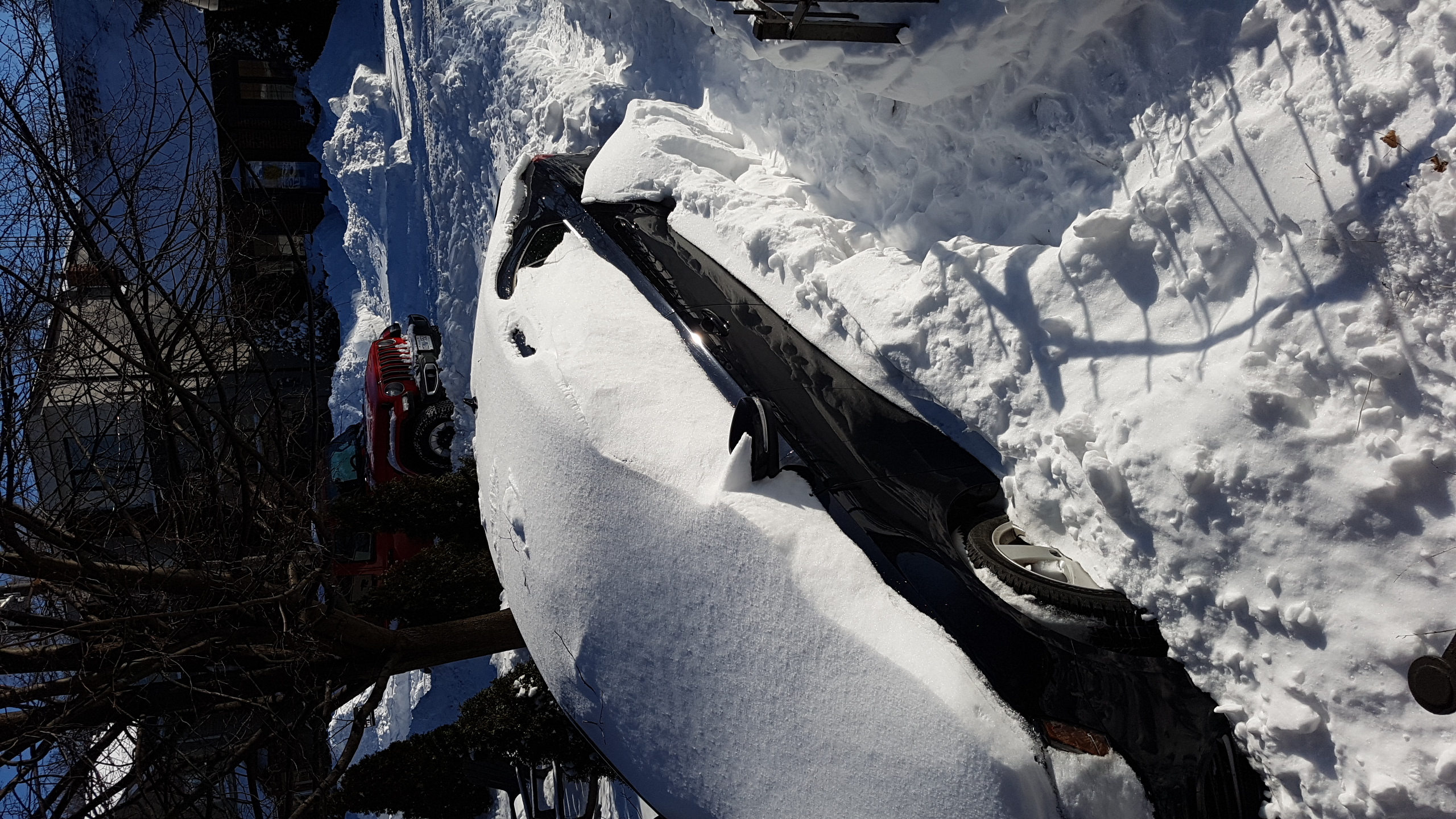 SnowfallJan2919.jpg