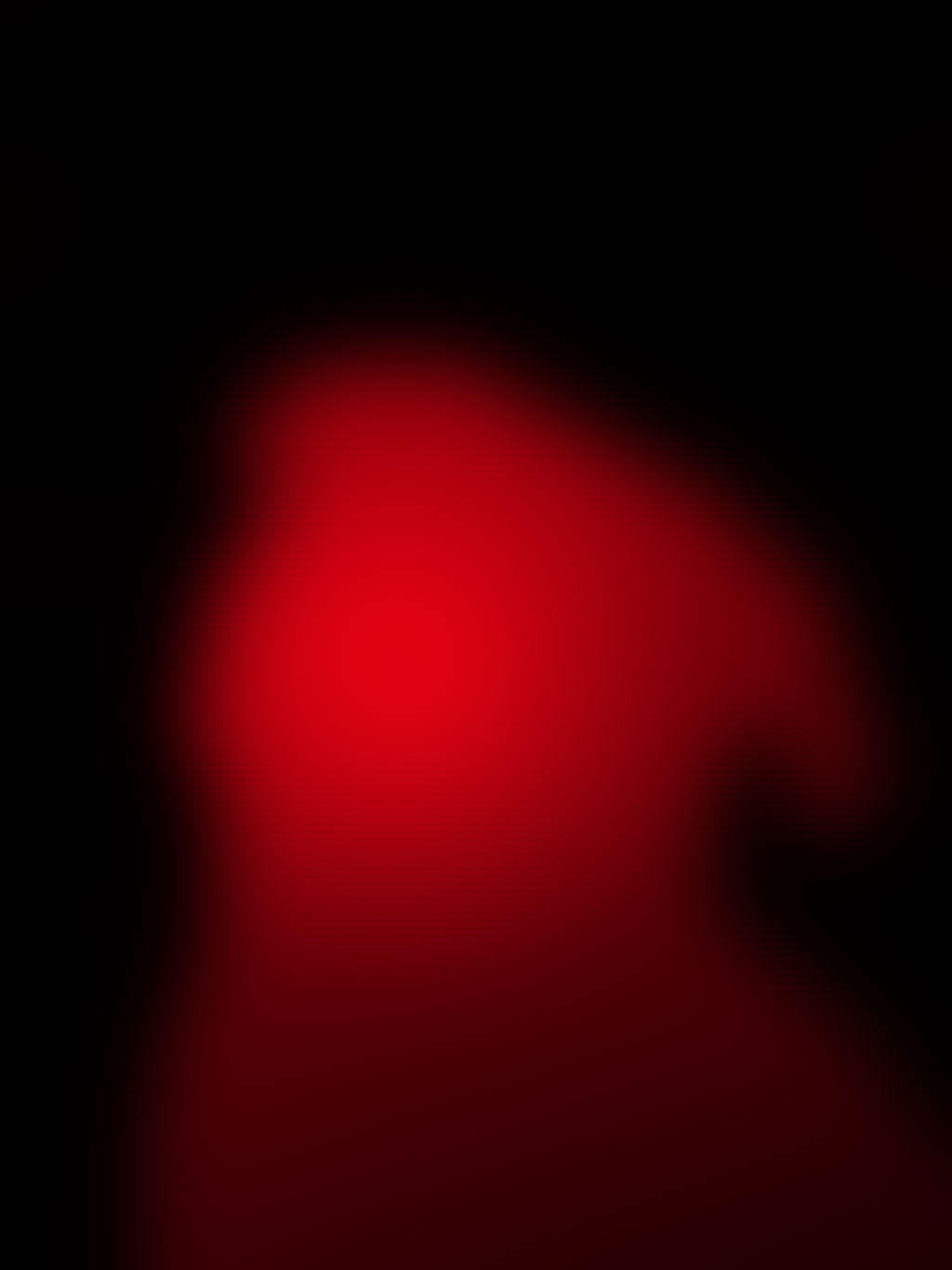 dog3.jpg