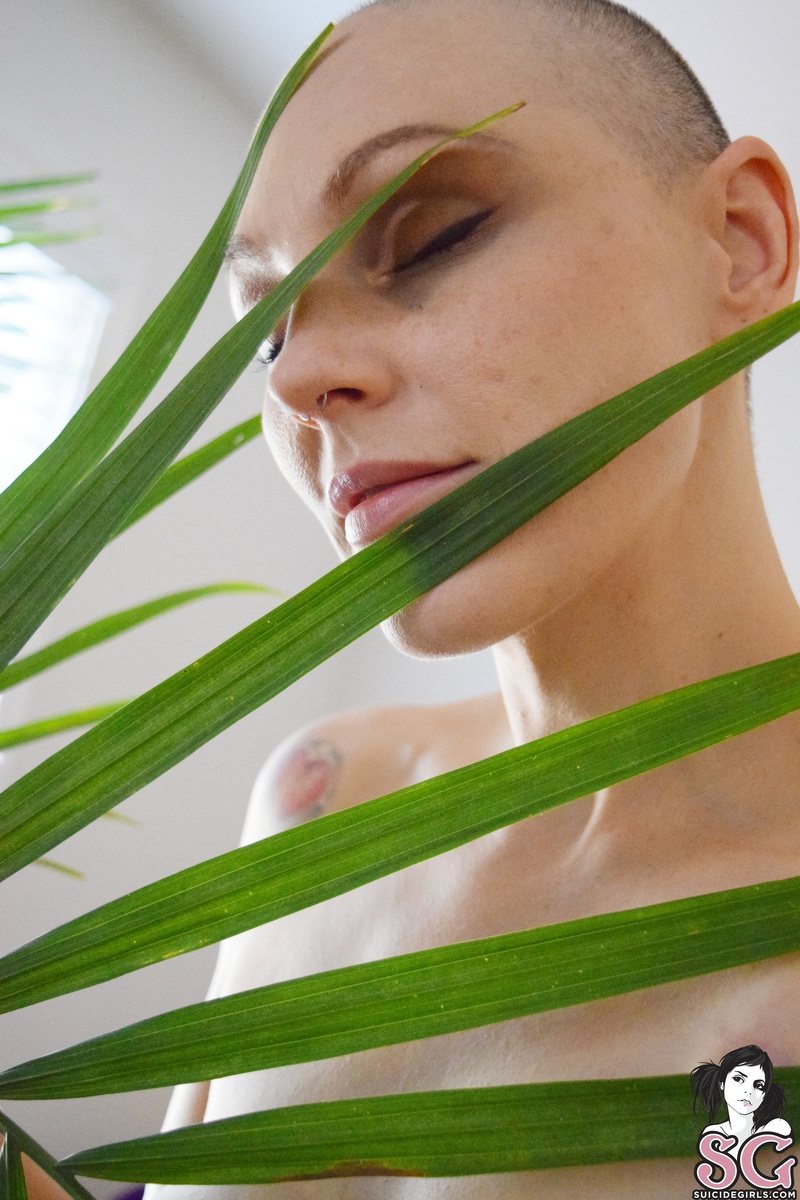 ebba-roguecells-23.jpg