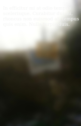 ytl.jpg