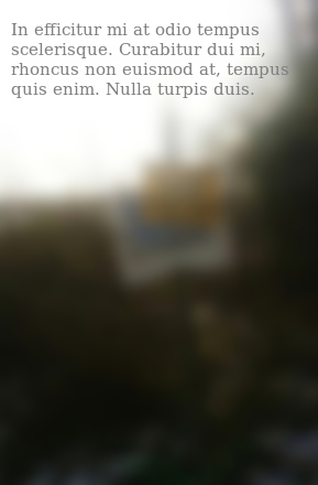 yjr.jpg