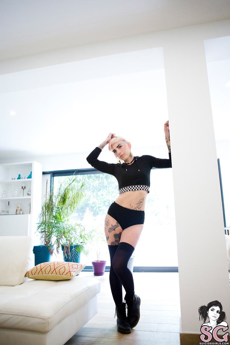 chaviblackcat-pearl-05.jpg