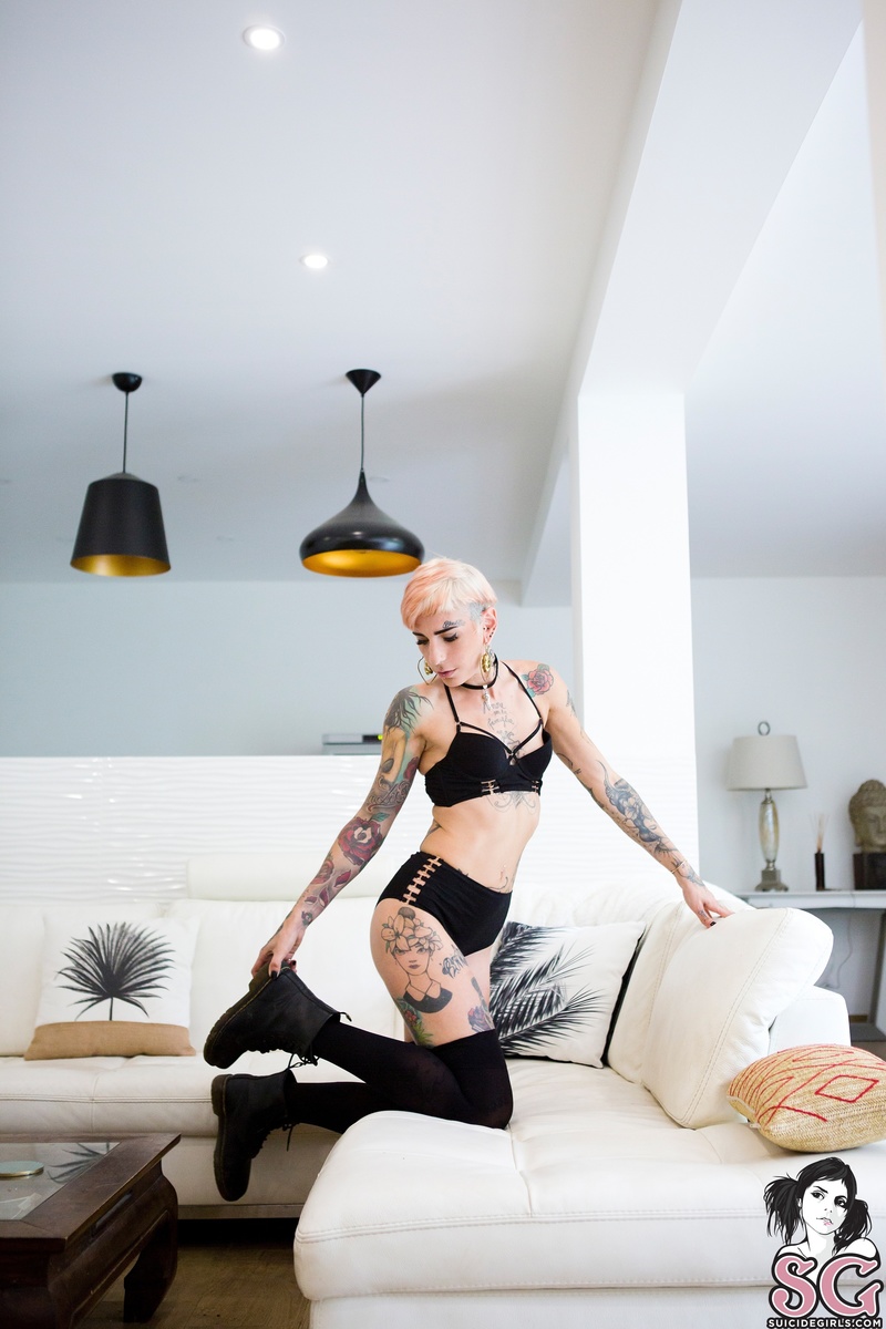 chaviblackcat-pearl-07.jpg