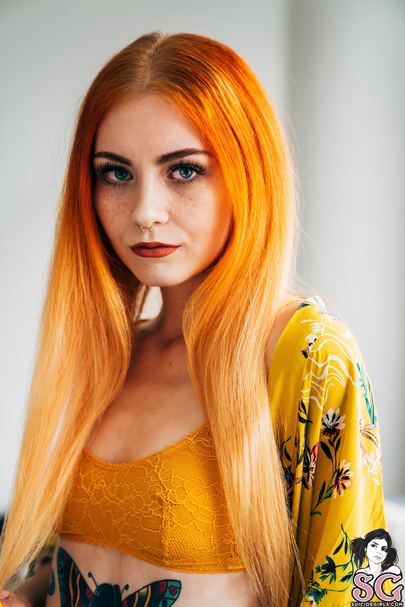 loveless-yellowbird-03.jpg