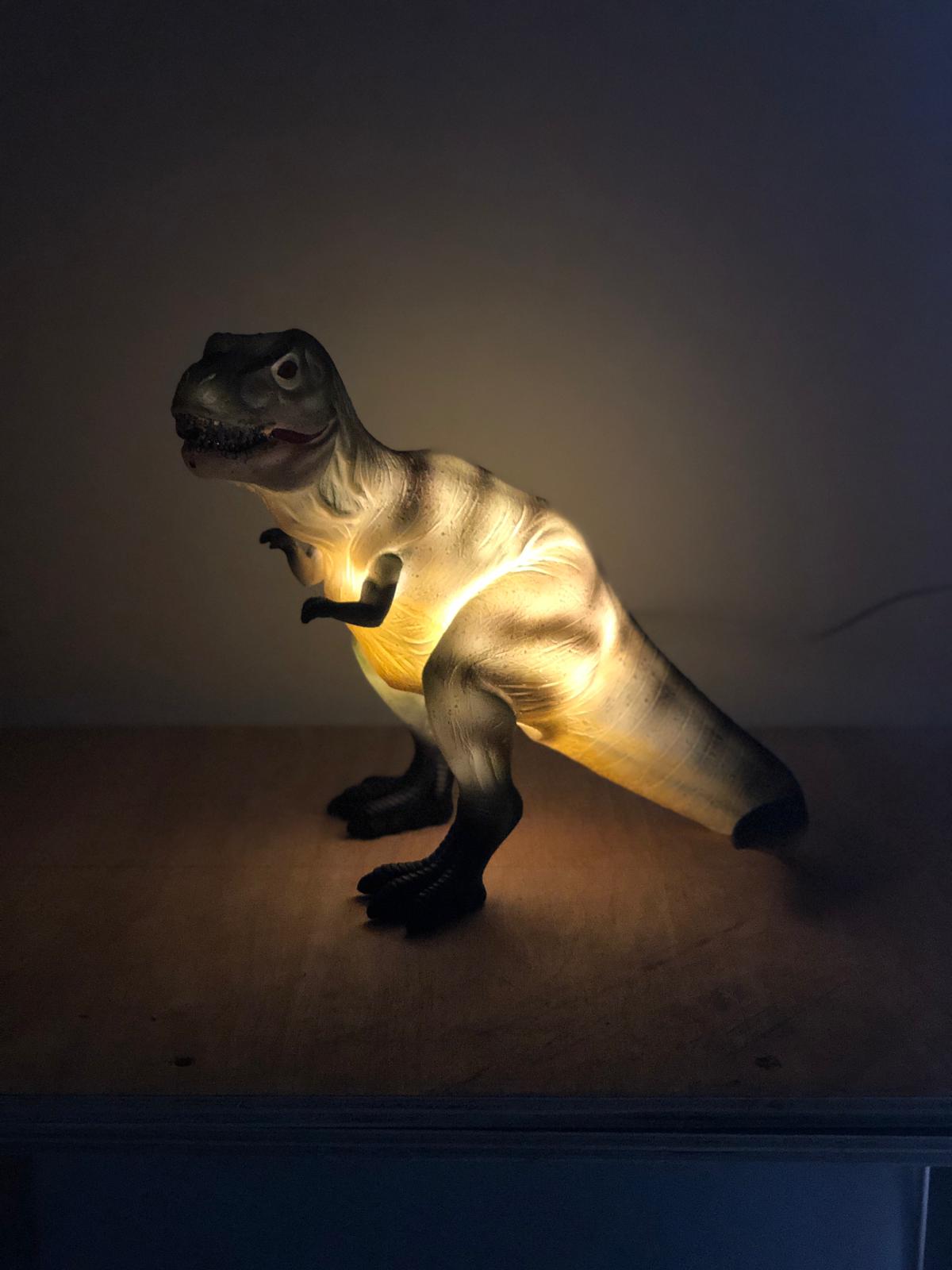 Trex in a dark room