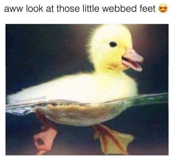 file.jpg
