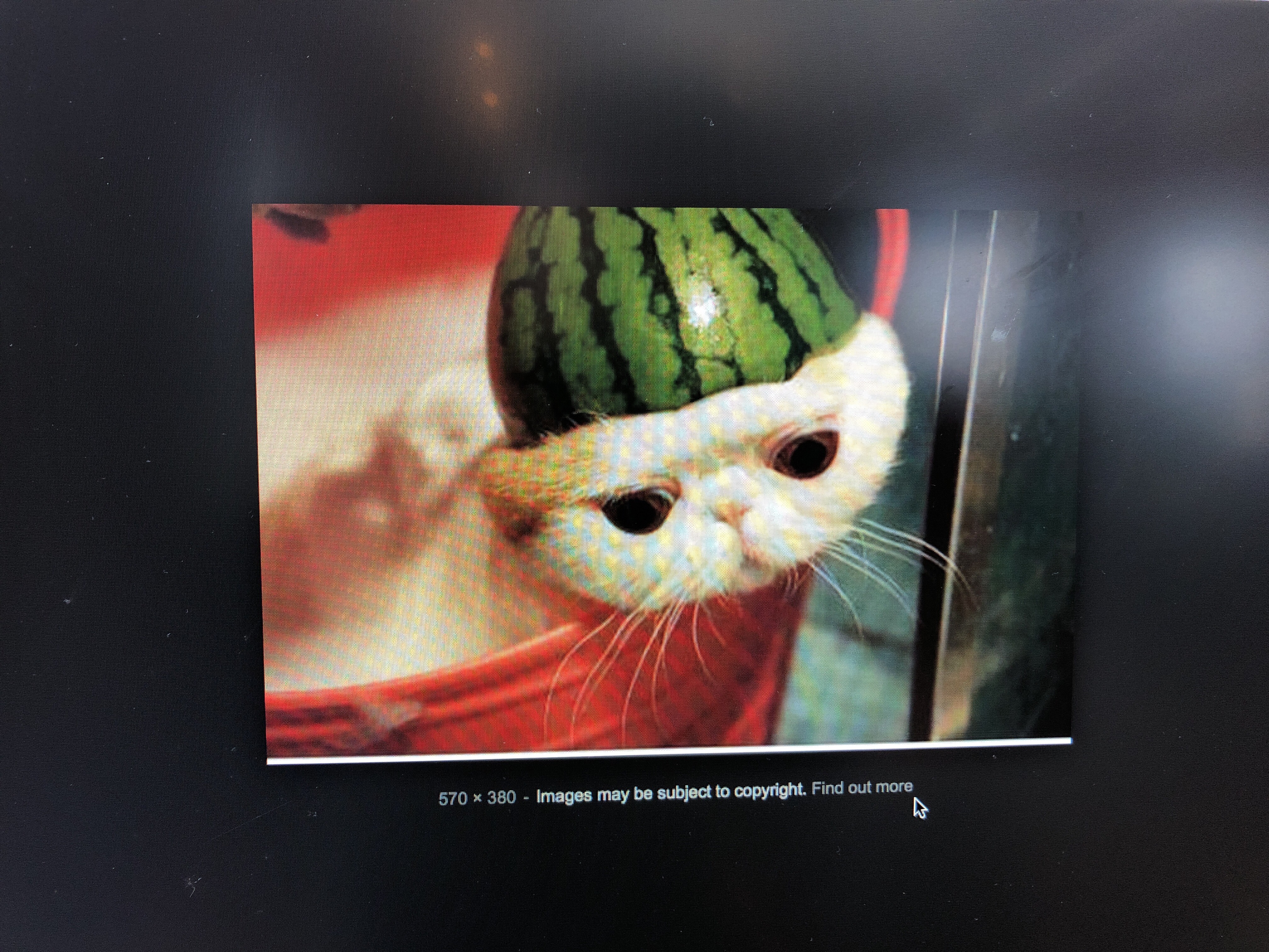 file.jpg
