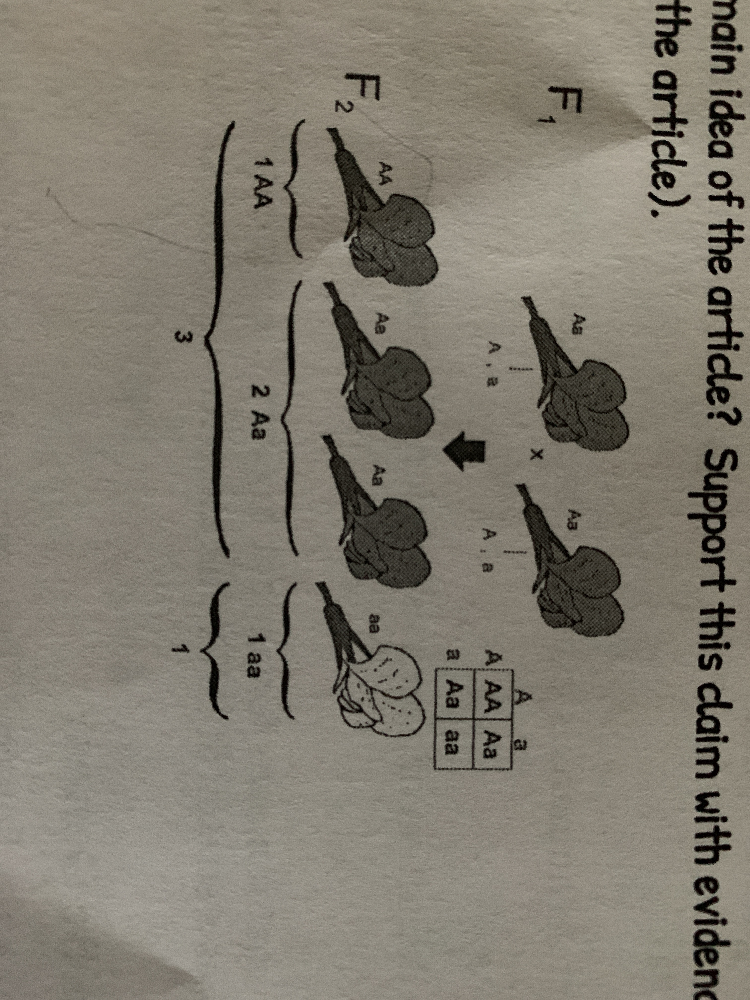 file.jpg