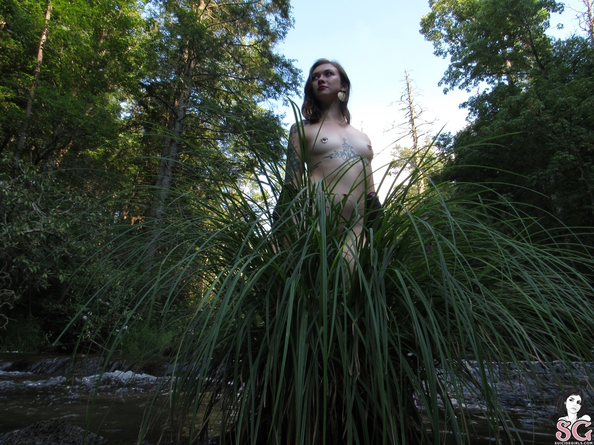 user2325606543-mountaincreeknymph-35.jpg