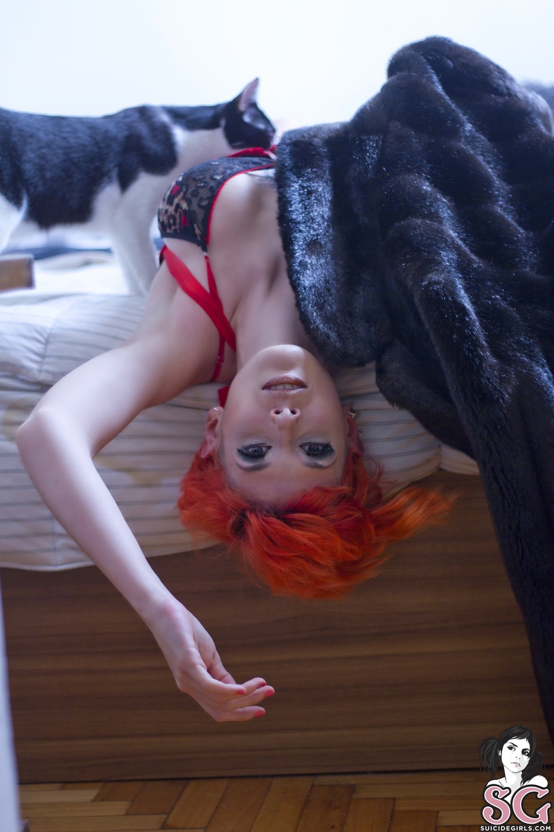 rubbermimi-andthecuriouskitty-07.jpg