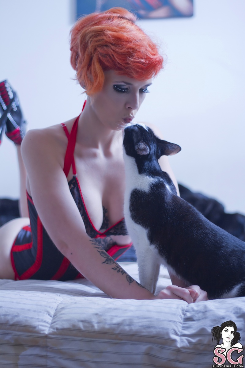 rubbermimi-andthecuriouskitty-13.jpg
