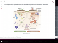 FASENRA201811-PI_eos-inflammation.png