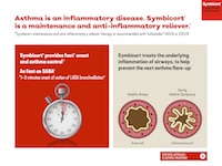 NZAGP1902-Anti-Inflammatory-thumb.jpg
