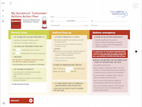 AGP1902-Summary_action_plan_turbuhaler.png