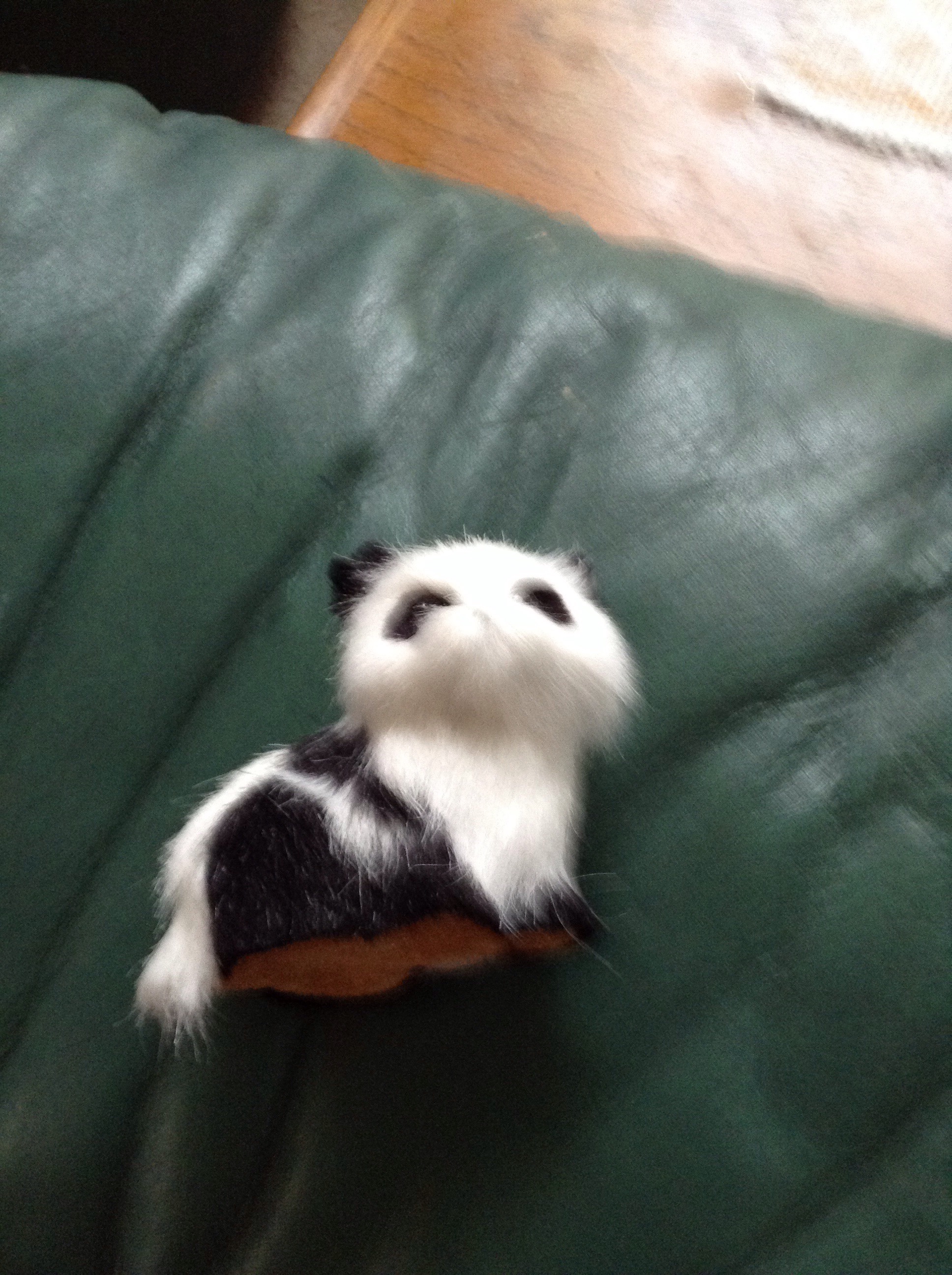 file.jpg
