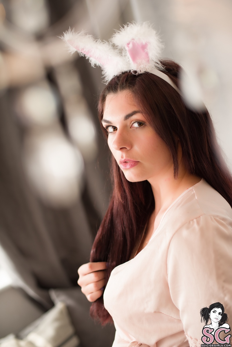 niagray-bunnyatethechocolate-07.jpg