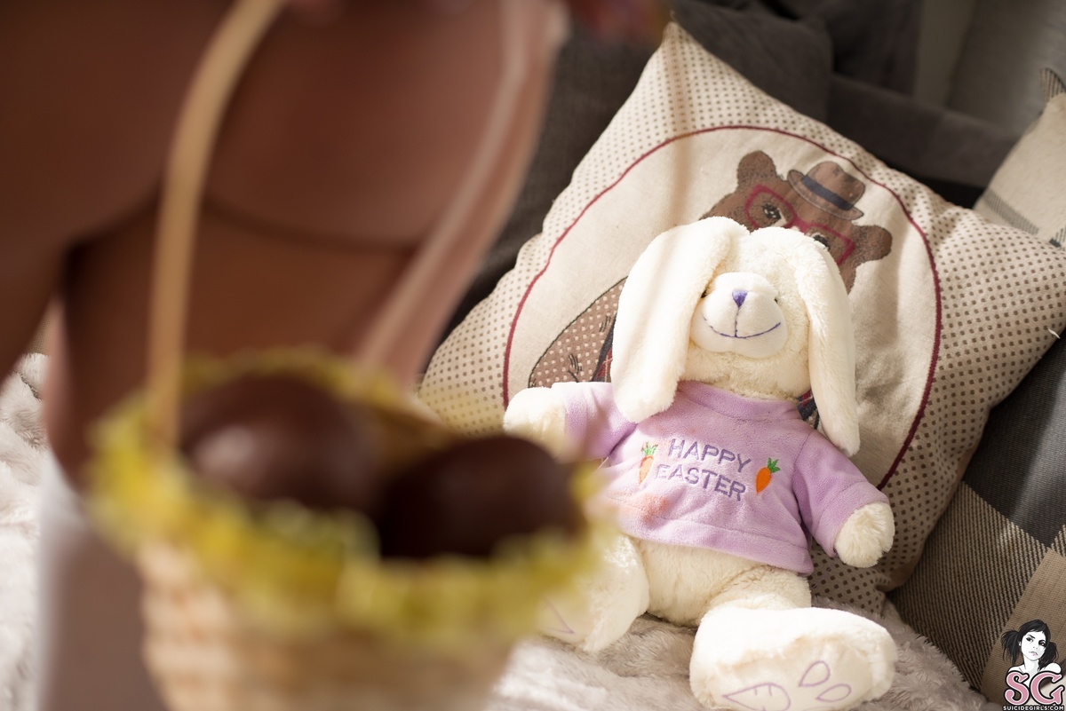 niagray-bunnyatethechocolate-09.jpg