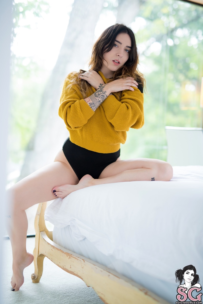 dojikko-marigold-09.jpg