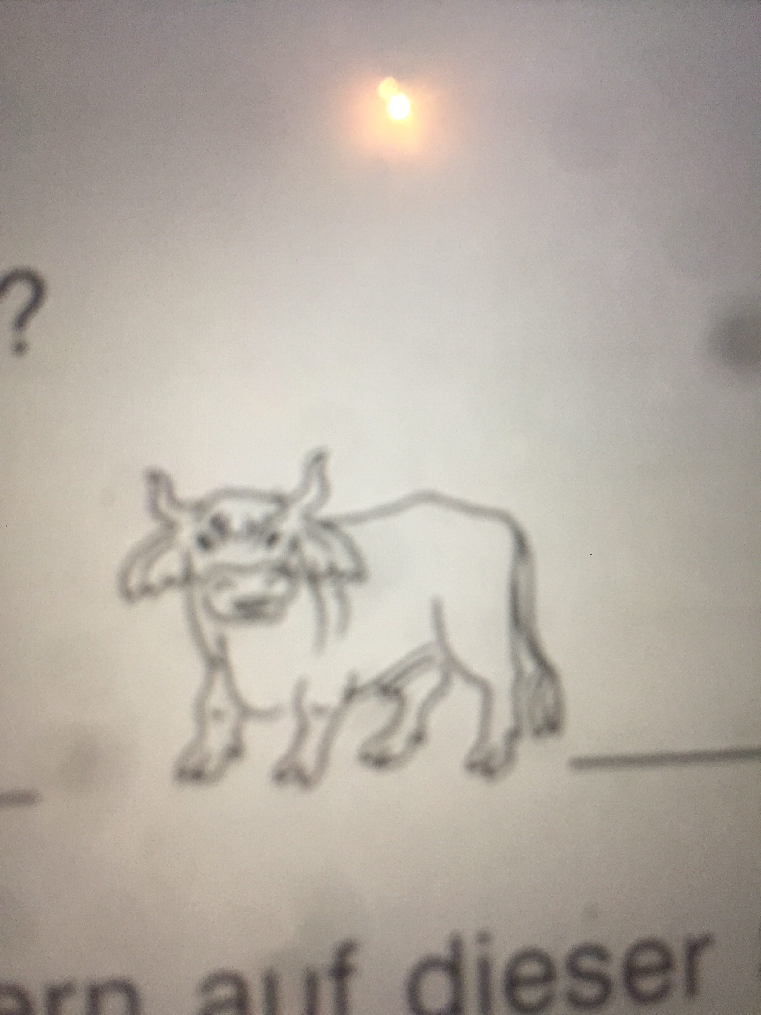 file.jpg