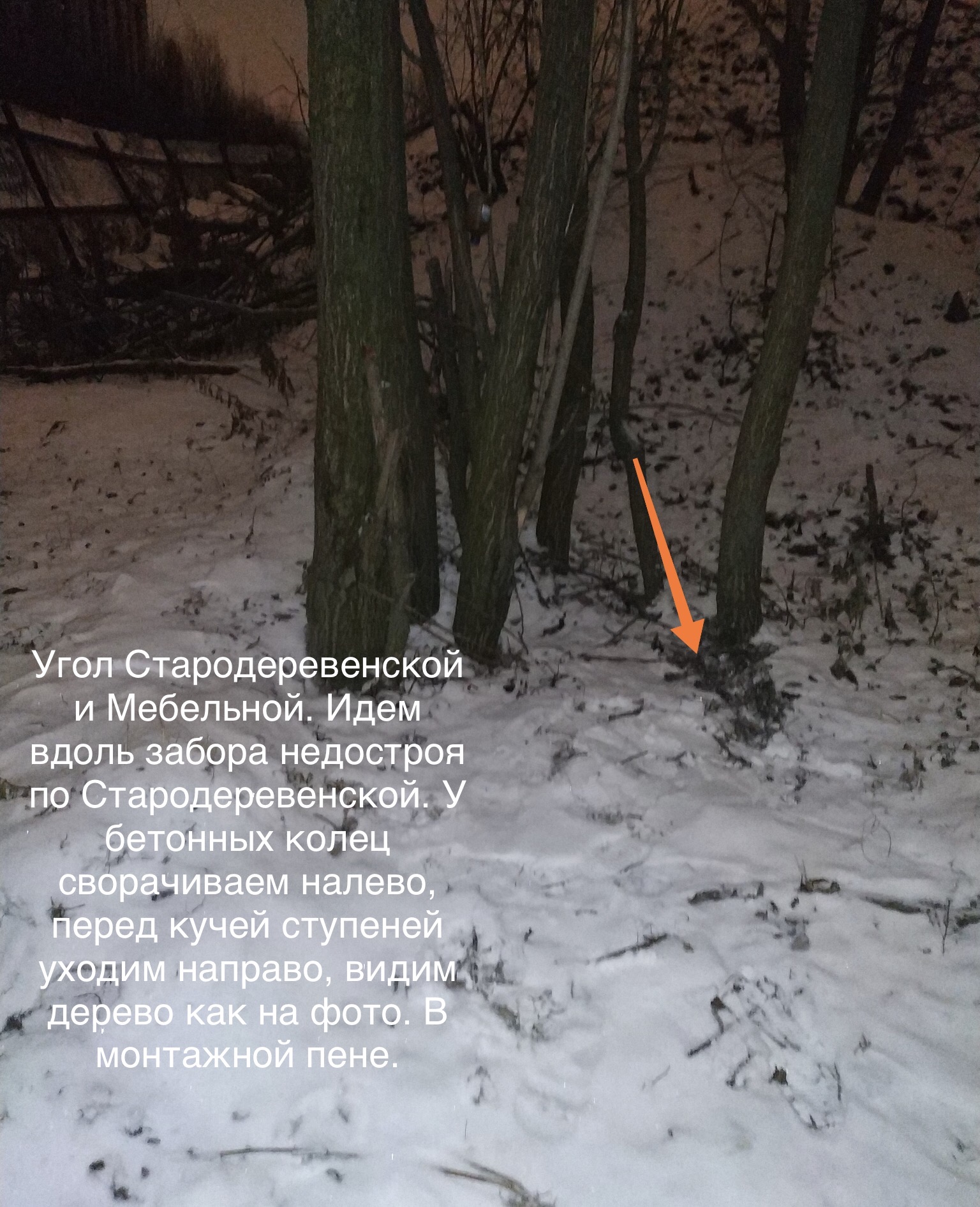 IMG_3646.PNG