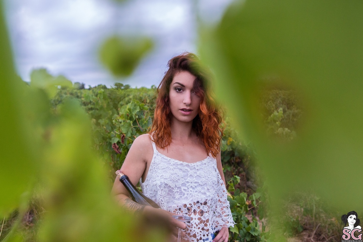 kioui-grapeharvestingmachine-03.jpg